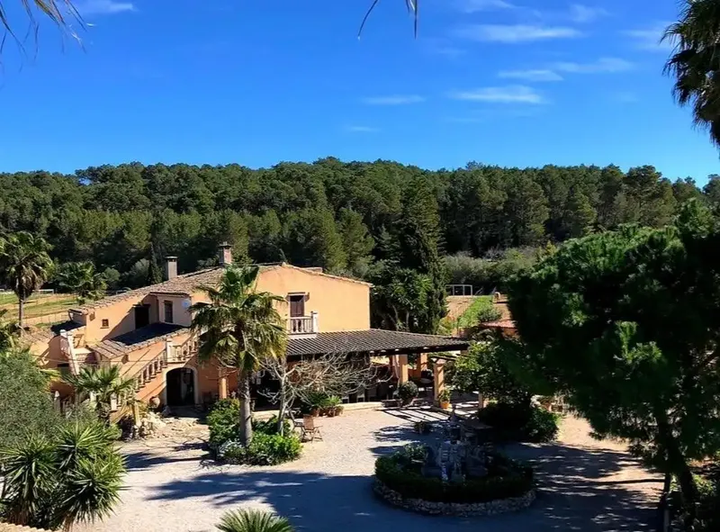 Beautiful finca with extensive horse riding facilities and stables in the south center of the island with excellent connections — photo 10