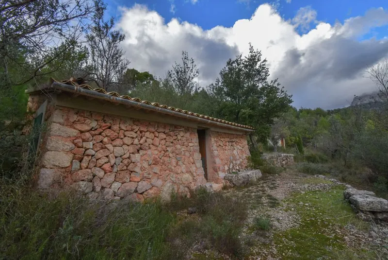 Olive grove with two small houses and car access in Fornalutx — photo 3