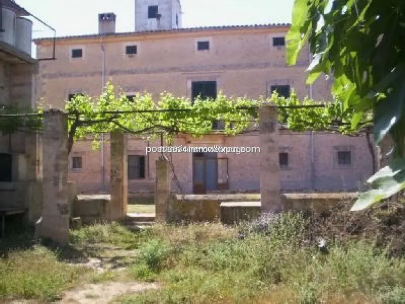 Land in Algaida, Province of Balearic Islands — photo 5