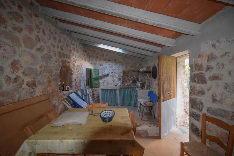 Olive grove with two small houses and car access in Fornalutx — photo 4