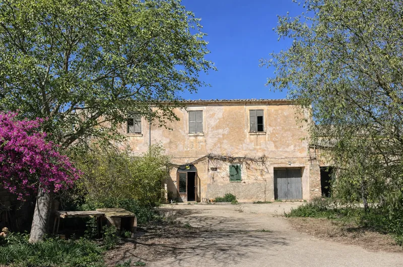 Journey back in time to the 16th century – historic finca in Campos — photo 2