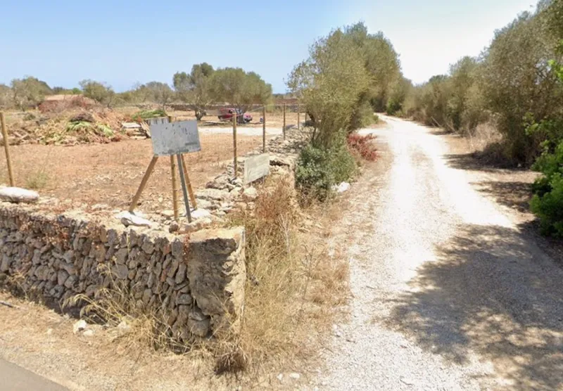 For rent: Plot of 5,000 m² with small house in Santanyí – Ideal for horses — photo 9