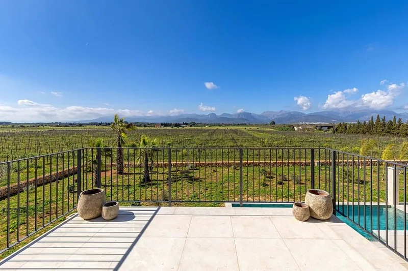Country Estate with own Vineyard in Binissalem — photo 4
