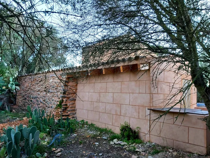 Rustic finca with historic buildings, water and electricity... — photo 12