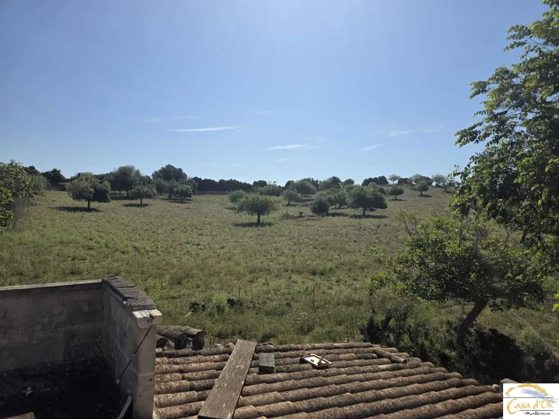 Exclusive natural finca with spectacular mountain panorama and unique building potential near Sant Llorenç des Cardassar — photo 2