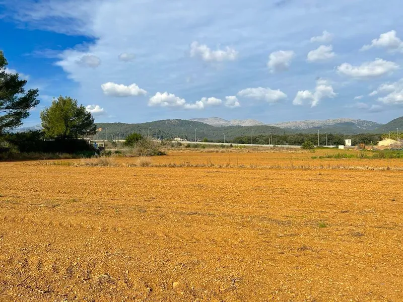 41,000 m2 plot in Sa Pobla — photo 1
