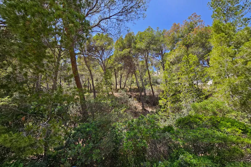 Large sea-view building land with three plots in Port Andratx 1 — photo 3