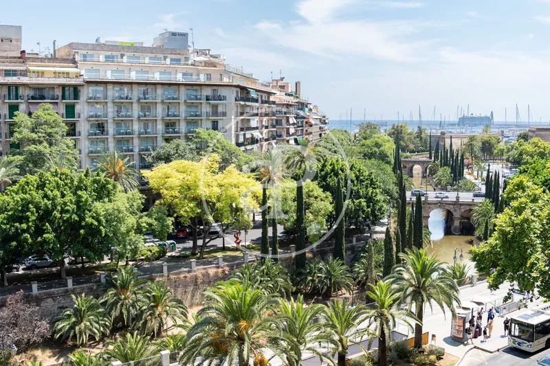 Apartment for sale on Paseo Mallorca — photo 3