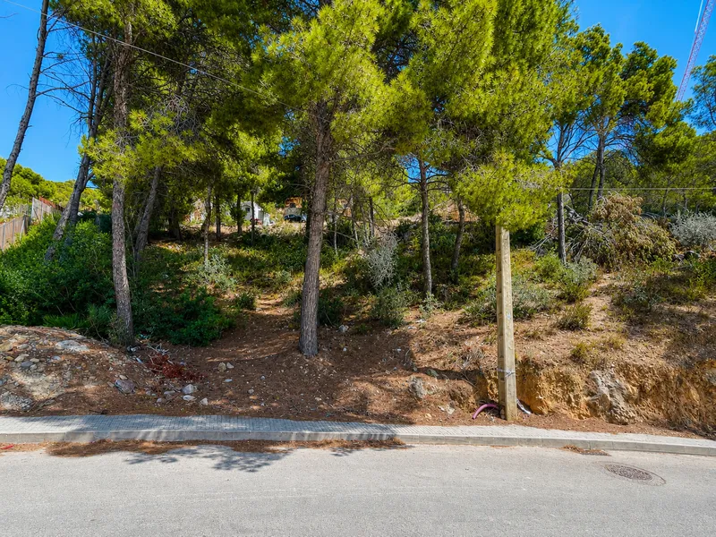 Plot with high investment potential in the prestigious area of Camp de Mar Mas — photo 1