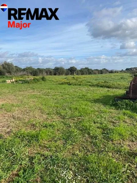 Mediterranean Sanctuary near Sineu – 3.5 Hectares of Pure Nature — photo 12