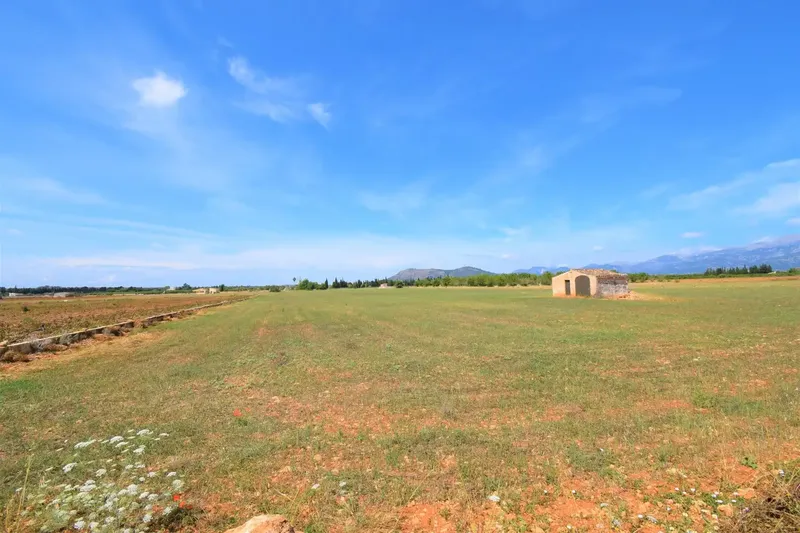 Rustic finca with wonderful views of the Serra de Tramuntana in the municipality of Llubí — photo 4