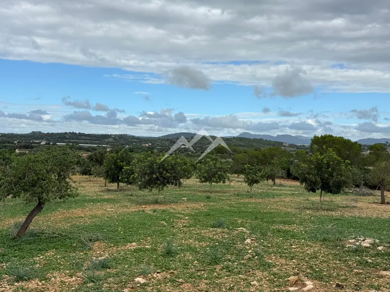 Plot of 41,670 m² with project for house with pool in Manacor — photo 10