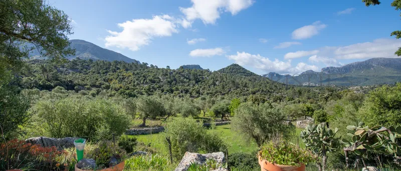 Large country house in Escorca with reform project — photo 8