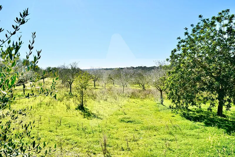 Building plot in a great location — photo 8