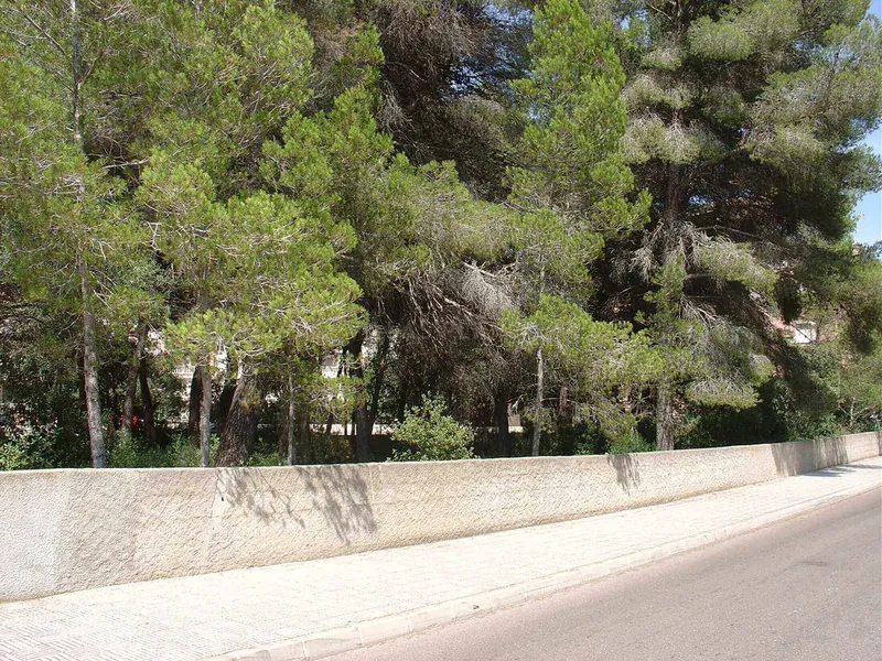 Urban Plot in Canyamel — photo 2