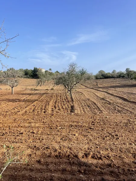Building plot between S’Alqueria and Cas Concos — photo 3