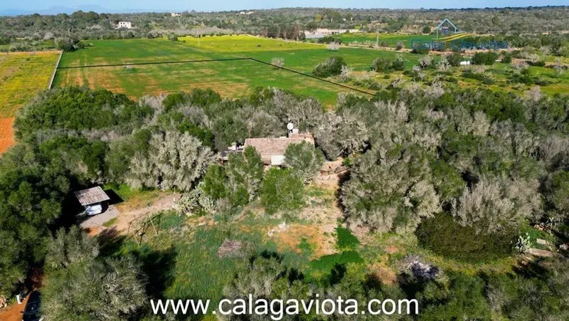 Rural or Farmhouse in ses Salines, Province of Balearic Islands — photo 1