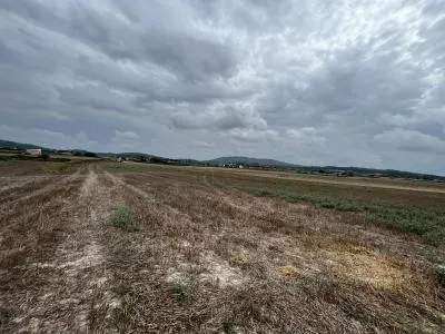 Rural Land - Sant Joan (Centro), Plot Surface 17056m² — photo 11