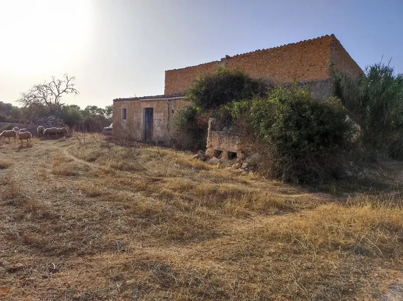 We present for sale this spectacular estate, in a privileged enclave for its landscaped surroundings and absolute tranquility between Fel — photo 2