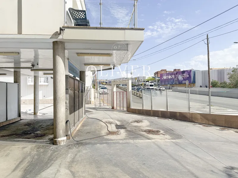 Plot in Porto Pi — photo 3