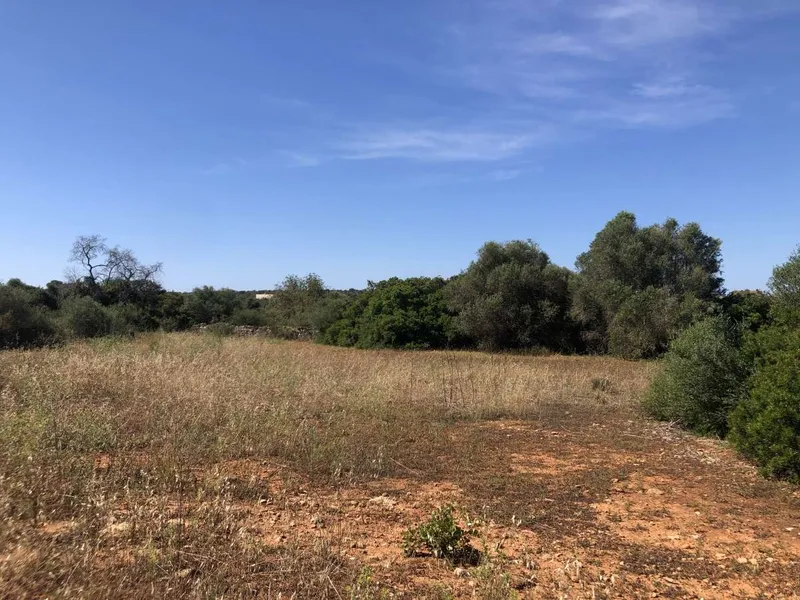 Plot with basic project of approximately 356m2 located in the area of Son Cosme — photo 3