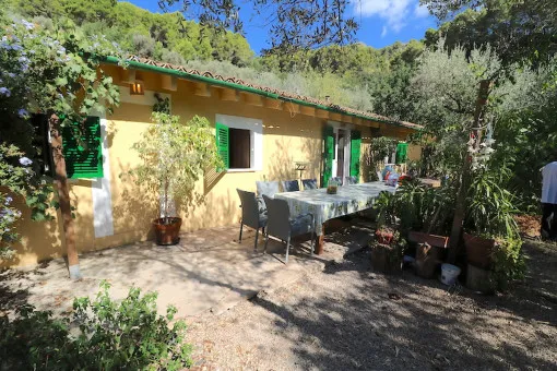 Fornalutx, olive grove on the outskirts of Fornalutx with sunny orientation — photo 2