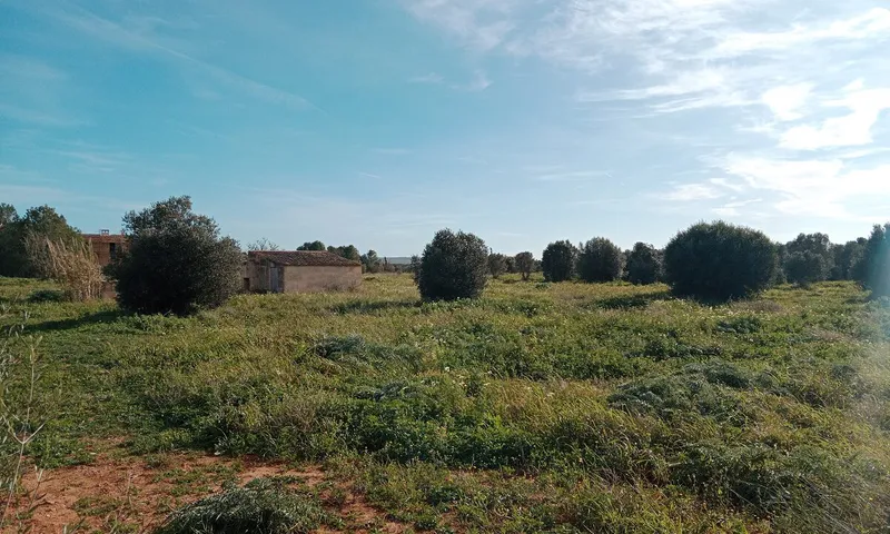 Large Country Plot near Campos — photo 3
