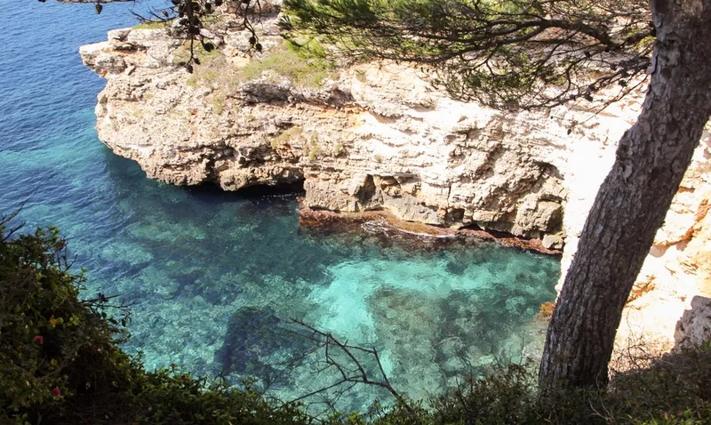 Mansion by the sea to renovate in Cala Llombards — photo 3