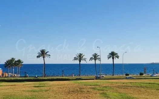 apartment in Palma de Mallorca, Palma — photo 1