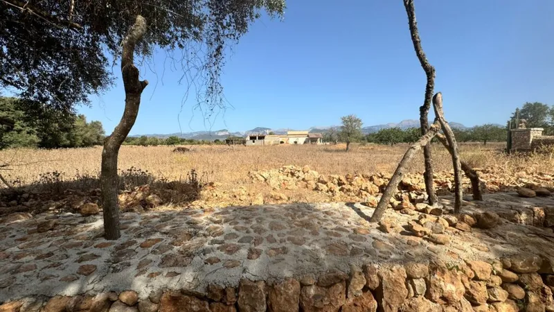 Plot in Binissalem with an approved building license — photo 2