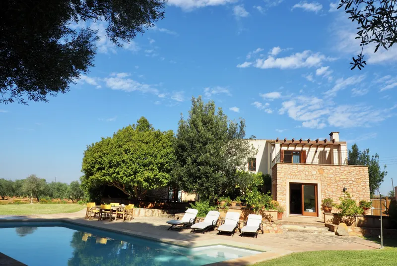 Estate with olive plantation in Cas Concos — photo 1