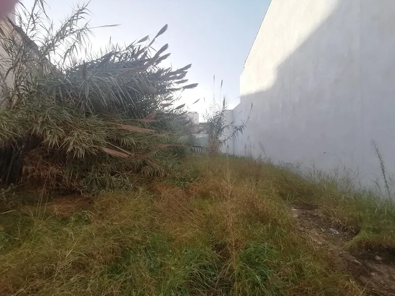 Buildable plot in the center of Felanitx — photo 10