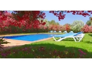 Beautiful finca with pool and holiday license!! Rustic house 3 bedrooms — photo 7