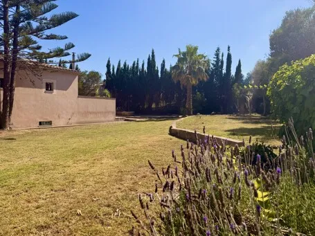 Finca with a 50 m2 pool and plenty of privacy in Artá, available for long-term rent — photo 3