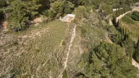 Rustic property - Llucmajor (Llucmajor (Campo)), Built Surface 1132m2, Plot Surface 171521m2, 5... — photo 11