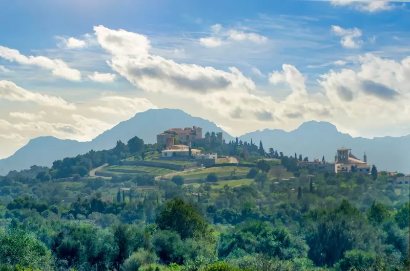 Finca to renovate in the hills before Artà — photo 10