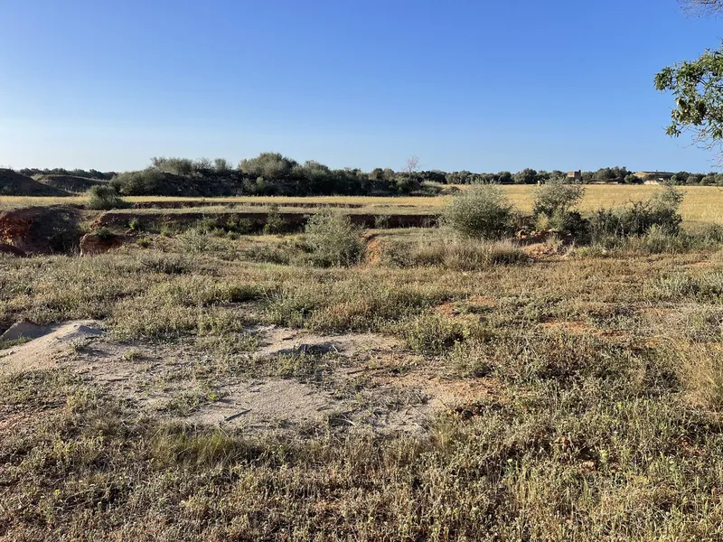 Plot Between Campos and Sa Rapita — photo 10