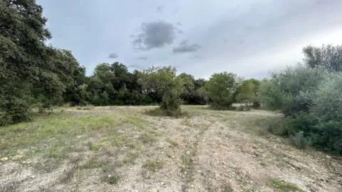 Plot — photo 9