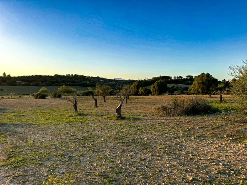Rustic plot with basic project in beautiful surroundings — photo 11