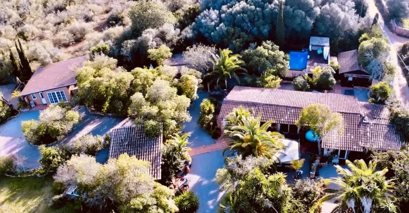 Finca property with vacation rental license in Llucmajor — photo 9