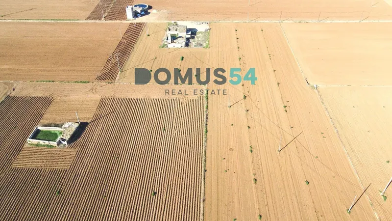Rustic building plot in Sa Pobla — photo 3