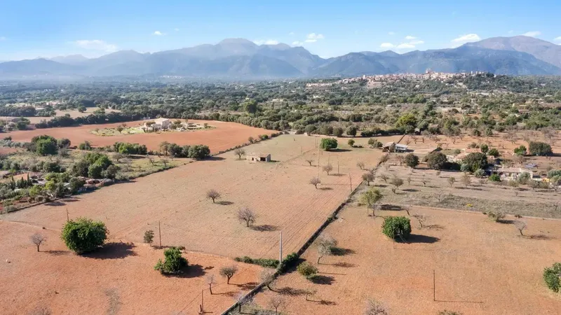 Finca of 24,823 m2 in Búger, currently with 337 m2 built, divided into 217 m2 of house with stables, a 60 m2 building, 147 m2 — photo 2