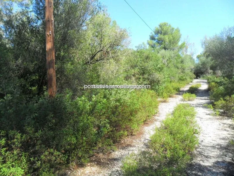 Land in Sencelles, Province of Balearic Islands — photo 10