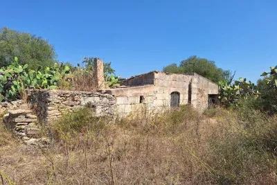 Finca in Manacor — photo 6