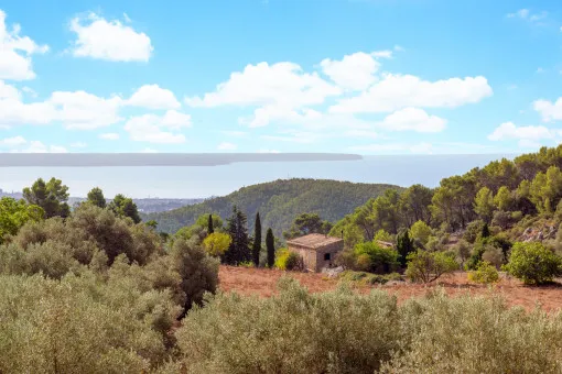 Esporles, large, stately finca in Esporles, in a prime location and with holiday rental license — photo 6