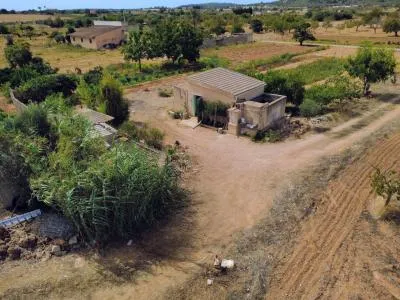 Rustic property - Porreres (Afueras) — photo 5