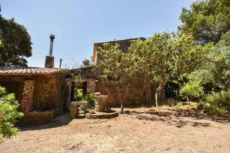 Rustic property - Puigpunyent (Puigpunyent) — photo 2