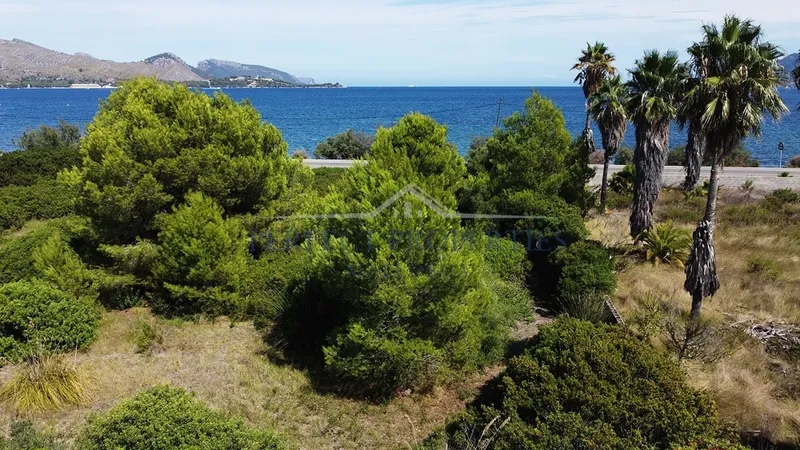 Building plots in first line of the sea in Port Pollensa — photo 3