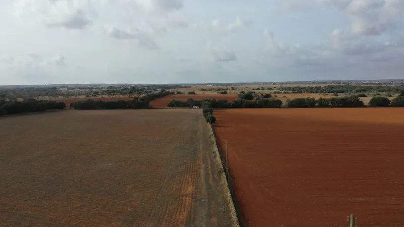 Large plot with beautiful construction project of a Finca in Campos — photo 6