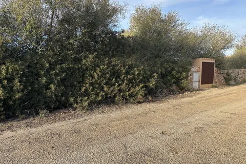 Land in Santanyi, Mallorca — photo 7